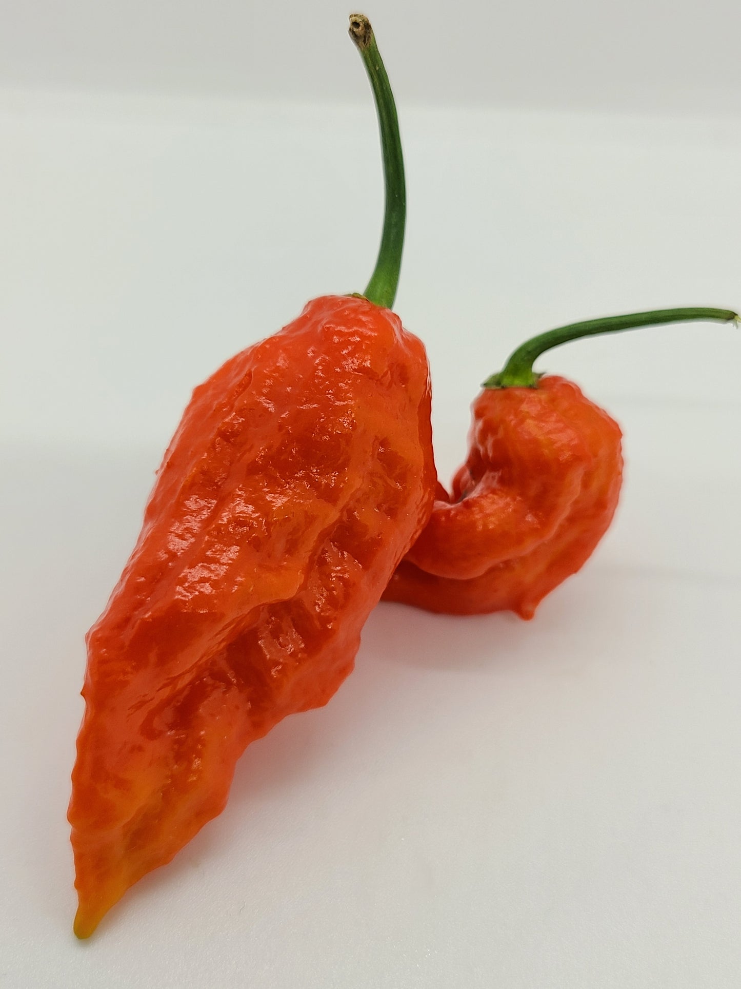 Assorted Fresh Super Hot Peppers