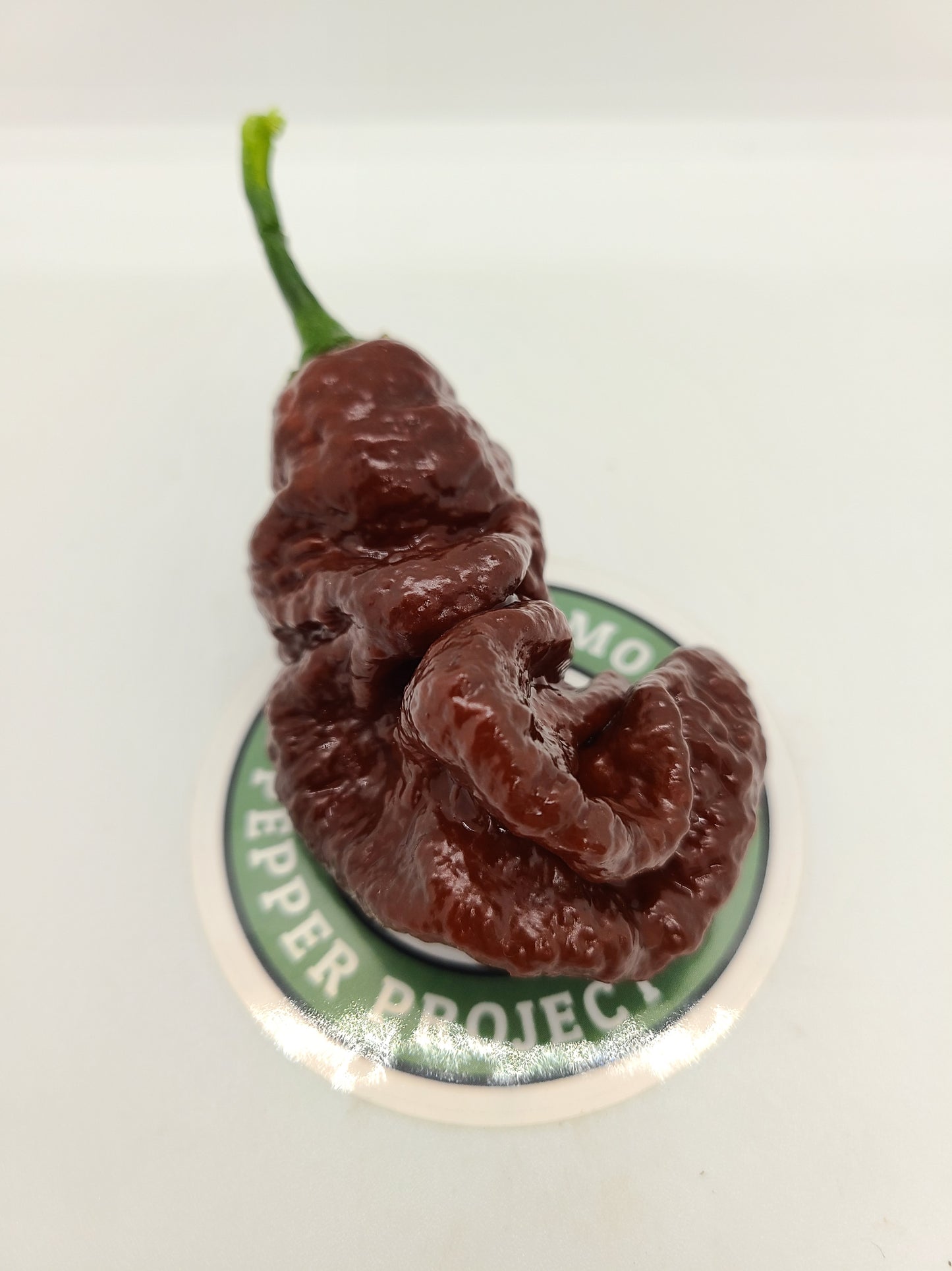 Assorted Fresh Super Hot Peppers