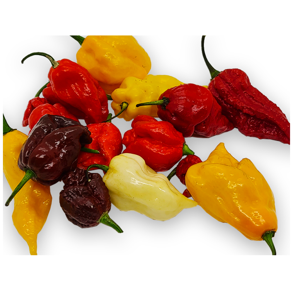 Assorted Fresh Super Hot Peppers